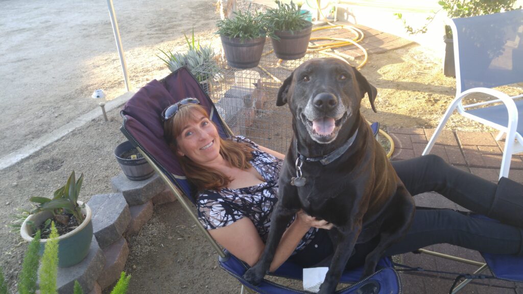 Eliminated pet allergies!